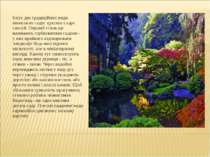 Існує два традиційних види японських садів: цукіяма і каре сансуй. Перший сти...