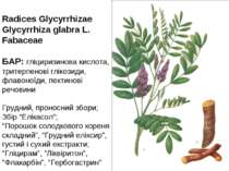 Radices Glycyrrhizae Glycyrrhiza glabra L. Fabaceae БАР: гліциризинова кислот...