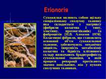 Етіологія Сухожилки являють собою щільну спеціалізовану сполучну тканину яка ...