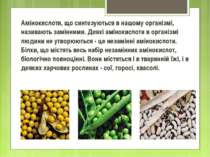 Амінокислоти, що синтезуються в нашому організмі, називають замінними. Деякі ...