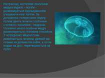 Наприклад, нестатеве покоління медузи аурелії - поліпи - розмножується бруньк...