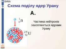 Схема поділу ядер Урану А. Частина нейтронів захоплюється ядрами Урану
