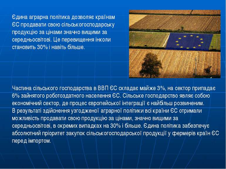 Єдина аграрна політика дозволяє країнам ЄС продавати свою сільськогосподарськ...