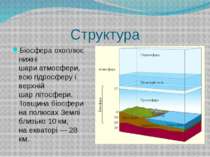 Структура Біосфера охоплює нижні шари атмосфери, всю гідросферу і верхній шар...