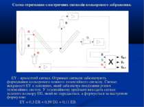 Схема отримання електричних сигналів кольорового зображення. EY - яркостний с...