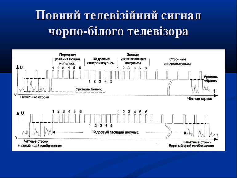 Повний телевізійний сигнал чорно-білого телевізора