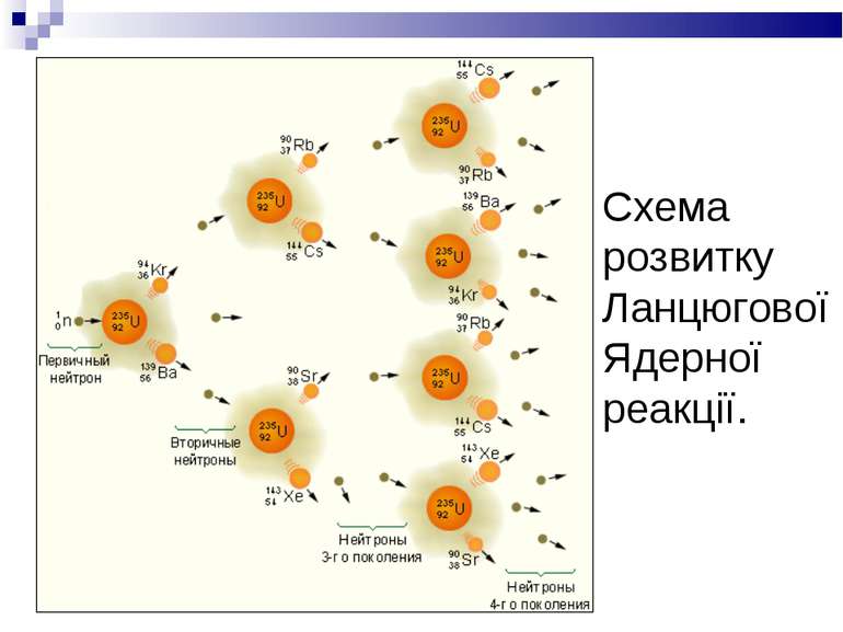 Схема розвитку Ланцюгової Ядерної реакції.