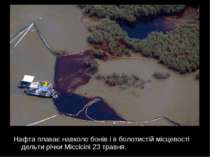 Нафта плаває навколо бонів і в болотистій місцевості дельти річки Міссісіпі 2...