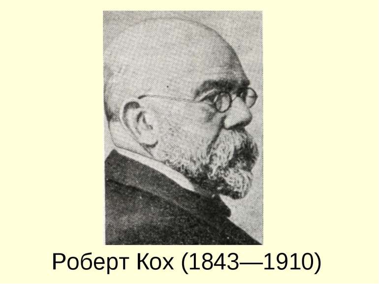 Роберт Кох (1843—1910)