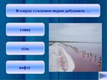 Найбільшим за площею прісним озером України є … Ялпуг Синевир Світязь Oksana: