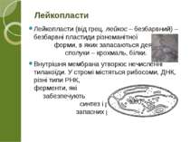 Лейкопласти (від грец. лейкос – безбарвний) – безбарвні пластиди різноманітно...