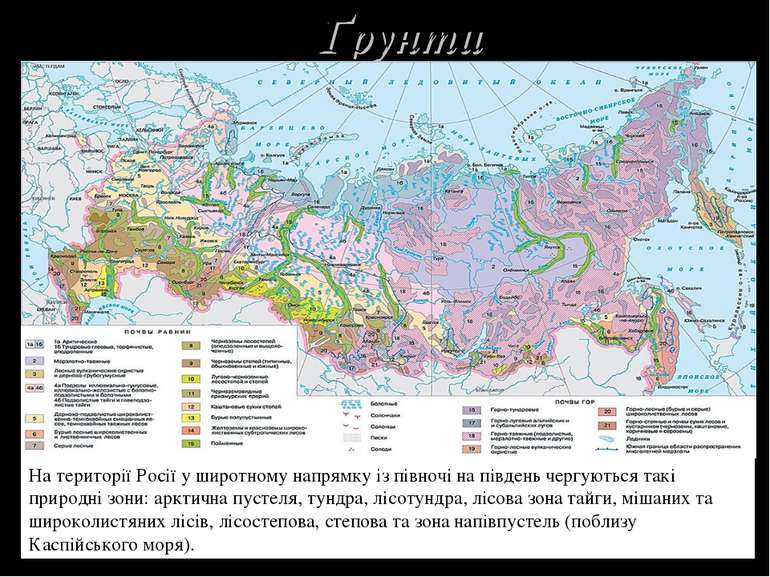 Ґрунти На території Росії у широтному напрямку із півночі на південь чергують...