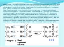 Жири (ліпіди) — речовини, які використовуються організмом дляенергетичних і п...