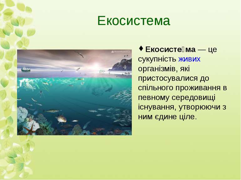Екосистема - презентація з екології