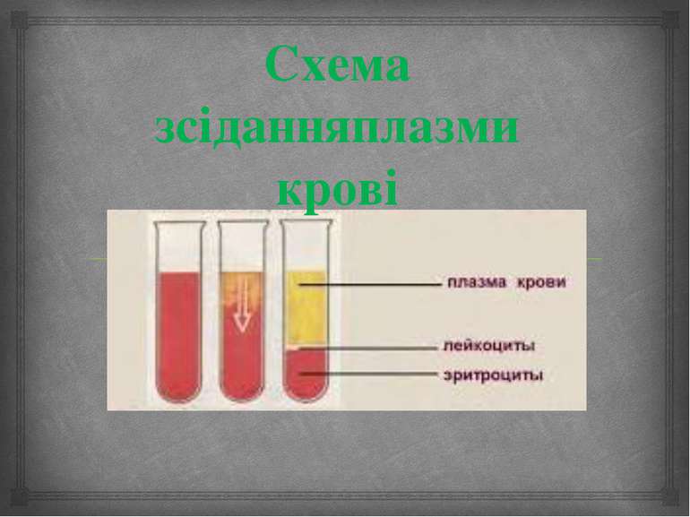 Схема зсіданняплазми крові