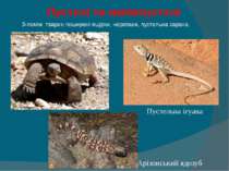 Пустелі та напівпустелі   З-поміж тварин поширені ящірки, черепахи, пустельна...