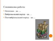Словникова робота: Онтогенез – це …. Ембріональний період – це….. Постембріон...