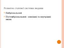 Розвиток статевої системи людини Ембріональний Постембріональний : зовнішні т...