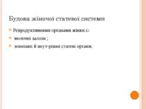 Будова жіночої статевої системи Репродуктивними органами жінки є: молочні зал...