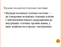 Будова чоловічої статевої системи: Функції чоловічої статевої системи — це ут...