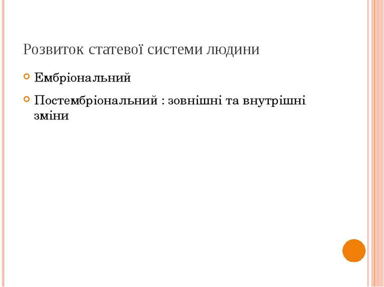 Розвиток статевої системи людини Ембріональний Постембріональний : зовнішні т...