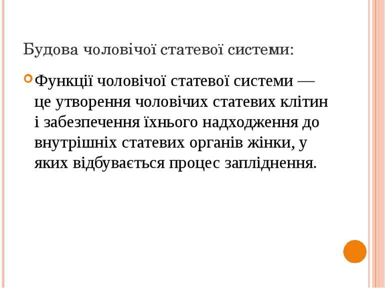 Будова чоловічої статевої системи: Функції чоловічої статевої системи — це ут...