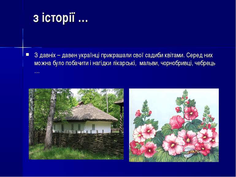 з історії … З давніх – давен українці прикрашали свої садиби квітами. Серед н...