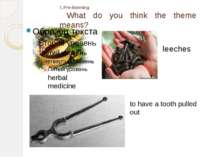   herbal medicine leeches to have a tooth pulled out 1.Pre-listening What do ...