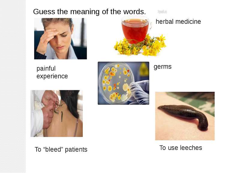 herbal medicine painful experience germs To use leeches To “bleed” patients G...
