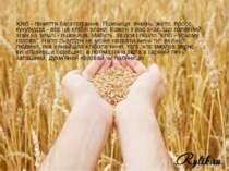 Хліб - поняття багатогранне. Пшениця, ячмінь, жито, просо, кукурудза - все це...