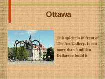 Ottawa This spider is in front of The Art Gallery. It cost more than 3 millio...