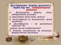 Досліджуємо будову дощового черва під час лабораторної роботи! 1. Визначаємо ...