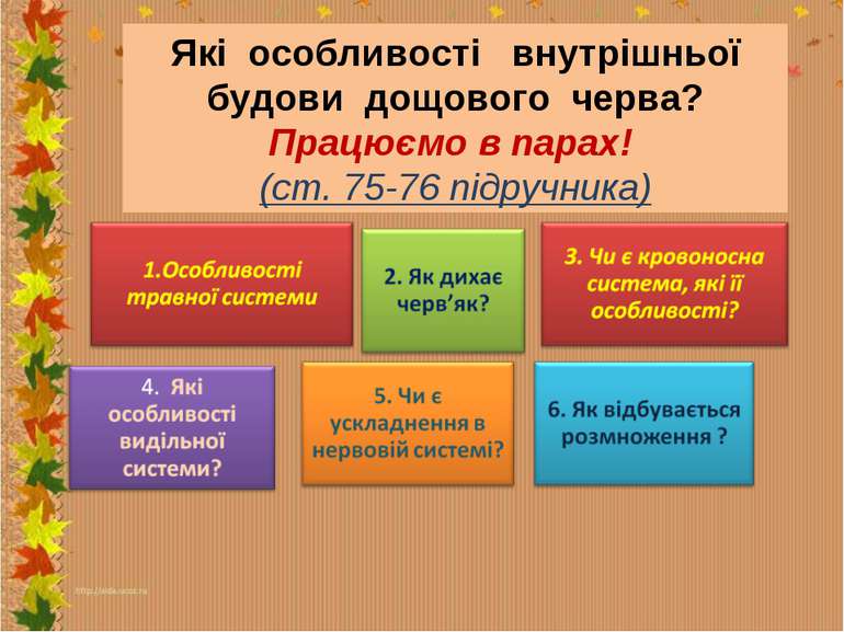 Які особливості внутрішньої будови дощового черва? Працюємо в парах! (ст. 75-...