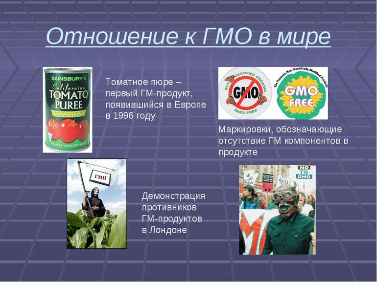 Отношение к ГМО в мире Томатное пюре – первый ГМ-продукт, появившийся в Европ...