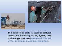 The subsoil is rich in various natural resources, including - coal, lignite, ...