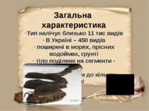 Загальна характеристика Тип налічує близько 11 тис видів В Україні – 450 виді...