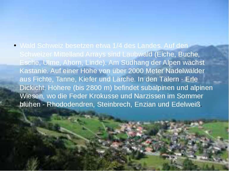 Wald Schweiz besetzen etwa 1/4 des Landes. Auf den Schweizer Mittelland Array...