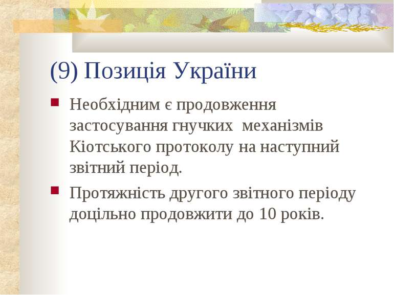(9) Позиція України Необхідним є продовження застосування гнучких механізмів ...