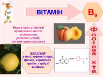 ВІТАМІН B9 Бере участь у синтезі нуклеїнових кислот, амінокислот, регюлює роб...