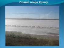 Солоні озера Криму.