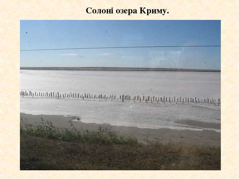 Солоні озера Криму.