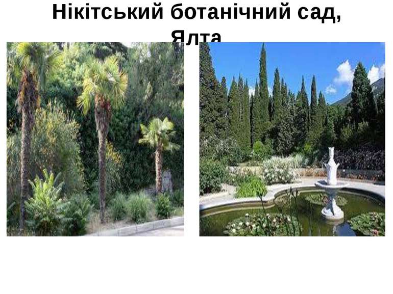 Нікітський ботанічний сад, Ялта