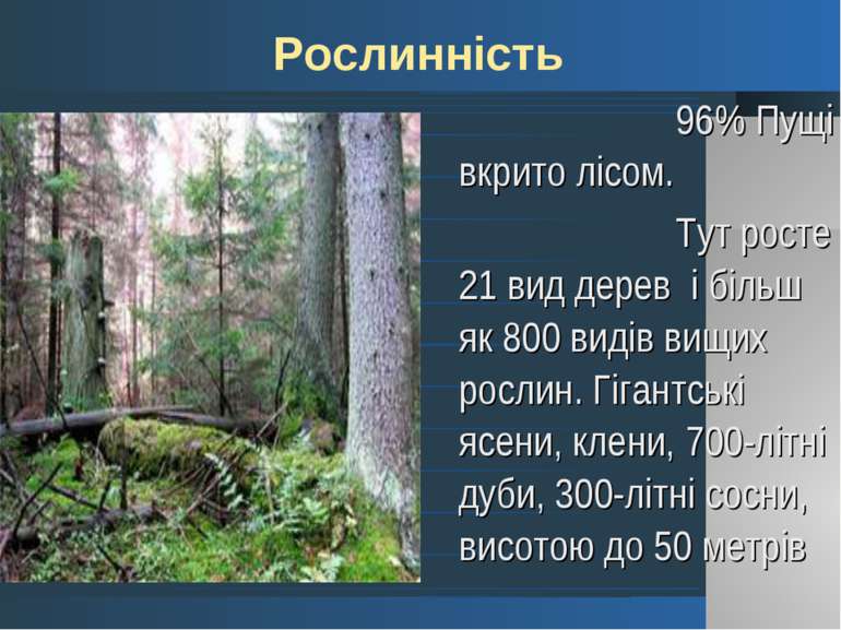 96% Пущі вкрито лісом. 96% Пущі вкрито лісом. Тут росте 21 вид дерев і більш ...