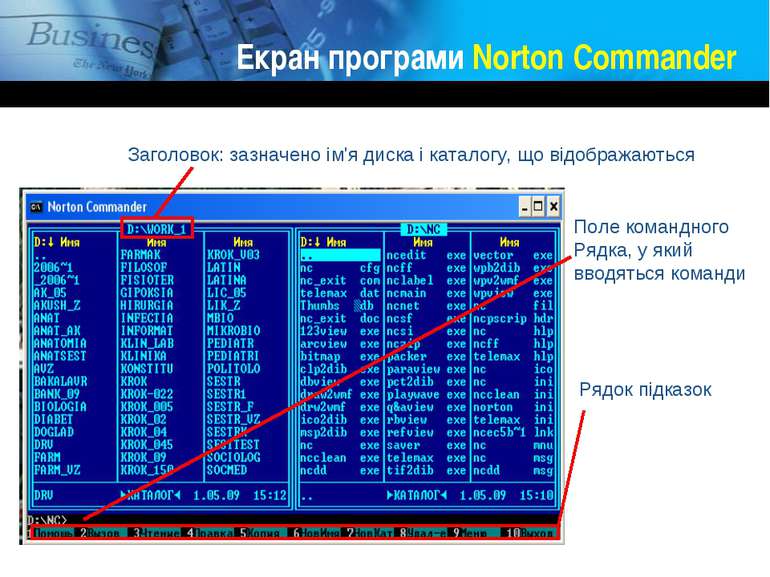 Екран програми Norton Commander Заголовок: зазначено ім'я диска і каталогу, щ...