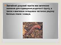 Звичайний дощовий черв'як має величезне значення для підвищення родючості ґру...