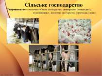 Сільське господарство Тваринництво – молочно-м'ясне скотарство, свинарство (п...