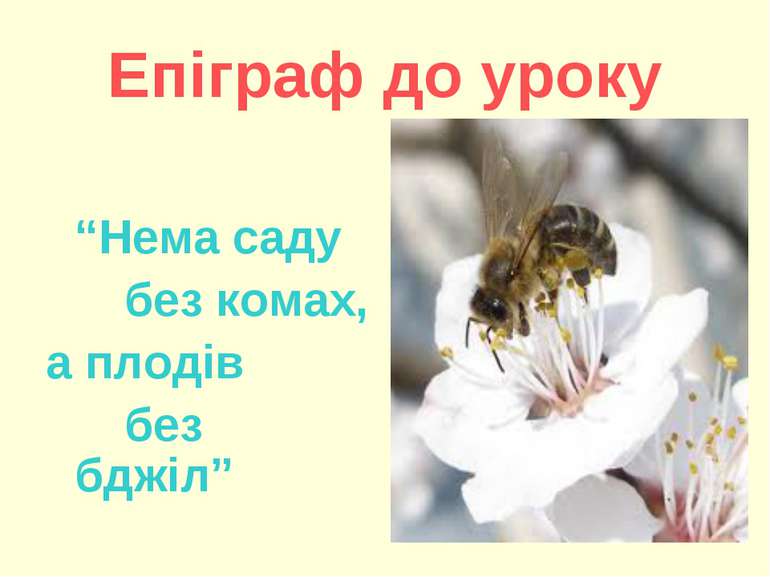 Епіграф до уроку “Нема саду без комах, а плодів без бджіл”