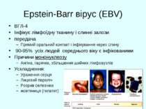 Epstein-Barr вірус (EBV) ВГЛ-4 Інфікує лімфоїдну тканину і слинні залози пере...