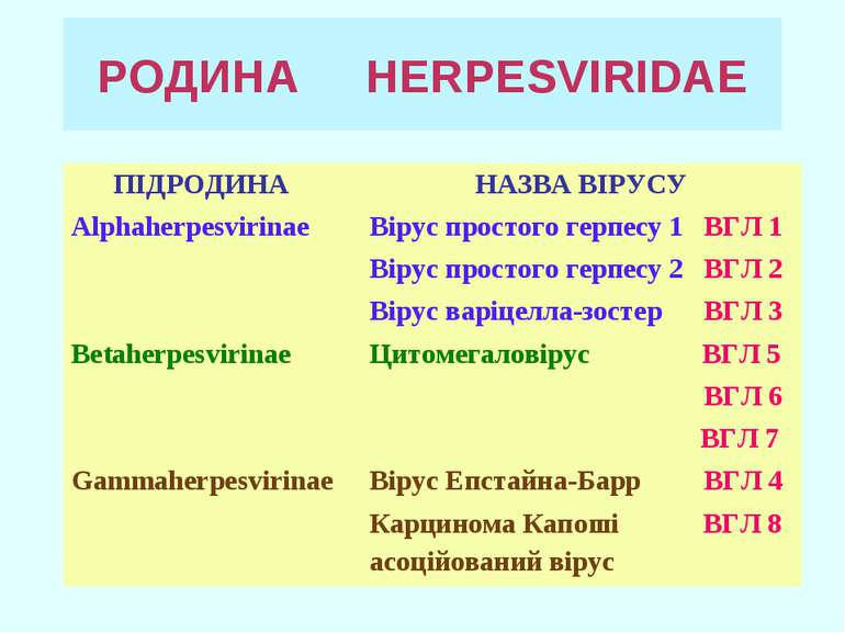 РОДИНА HERPESVIRIDAE ПІДРОДИНА НАЗВА ВІРУСУ Alphaherpesvirinae Вірус простого...