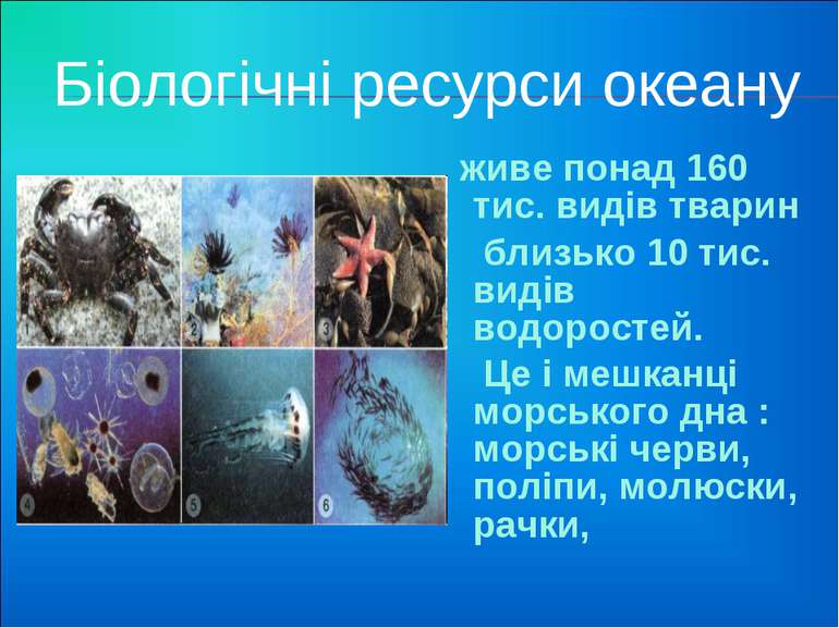 Біологічні ресурси океану живе понад 160 тис. видів тварин близько 10 тис. ви...